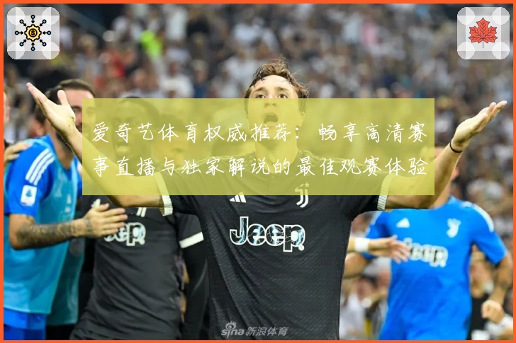 爱奇艺体育权威推荐：畅享高清赛事直播与独家解说的最佳观赛体验